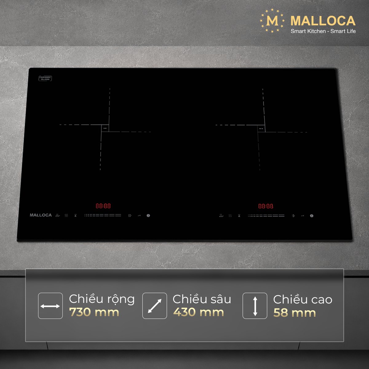 Bếp từ Malloca MIH02ECO